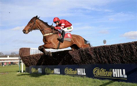 horse racing results haydock